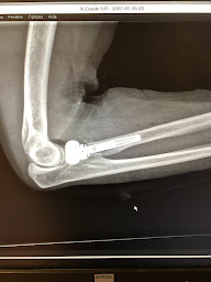 Photo n°7 de Dr Mohammed ABDELLAOUI à Vichy (Chirurgien orthopédiste)