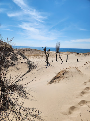 Ludington State Park Beach - Thumbnail