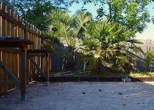 Photo n°18 de Le Village à CAZAUX (Restaurant)