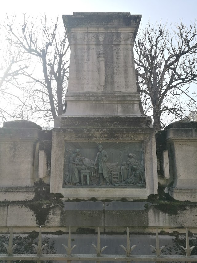 Square Jacques-Antoine - Espace canin