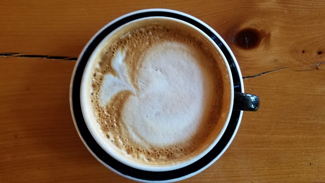 Anodyne Coffee Roasting Co.