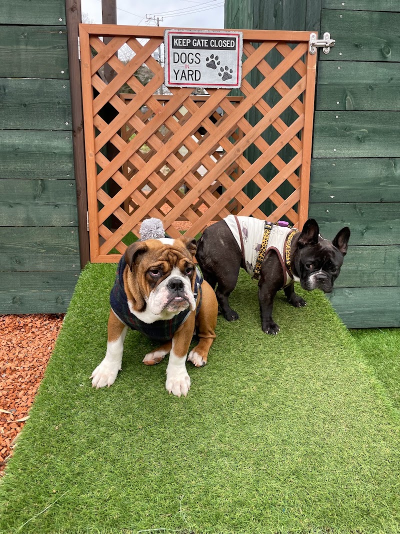 MBSドッグキャンプ場