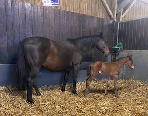 Photo n°10 de La Longère Cogite à Sainte-Gauburge-Sainte-Colombe (Gîte)