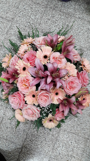 Ham Fleurs - Thumbnail