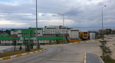 Giresun Fizik Tedavi Ve Rehabilitasyon Hastanesi