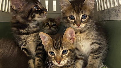 CLINIQUE VETERINAIRE DU DR CASALTA