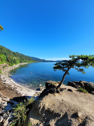 Teddy Bear Cove - Thumbnail