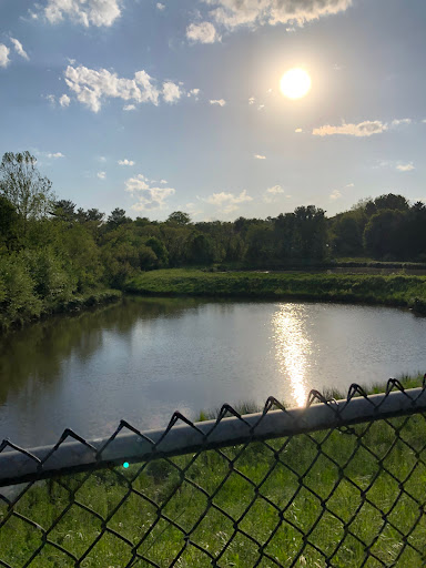 Clearspring Local Park - Thumbnail