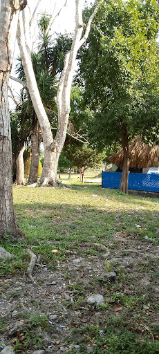 Ayuntamiento de Calakmul Campeche