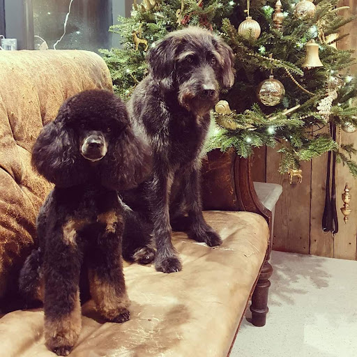 The Cotswold Grooming Co