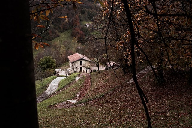 Azienda Agricola Maso Zambo S.r.l.