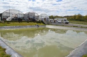 Photo n°3 de MeysPlants à Meys (Pépinière)