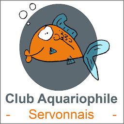 Photo n°5 de Club aquariophile Servonnais à Servon-sur-Vilaine (Association culturelle)