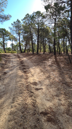 Paraje 'Las zorreras" Gallery - Spain
