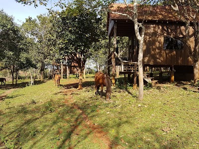 Photos of Elephant Valley Project