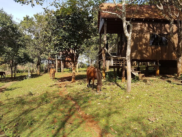 Elephant Valley Project