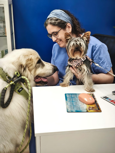 Centre Veterinari Dosrius