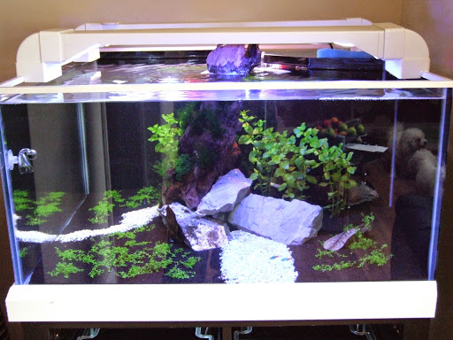 Lunar Led