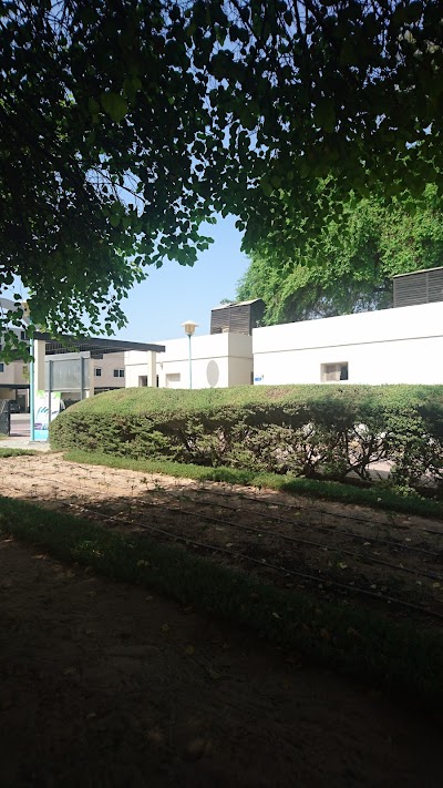 Photos of Al Wasl Park