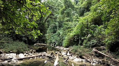 Photos of Finca Sacmoc