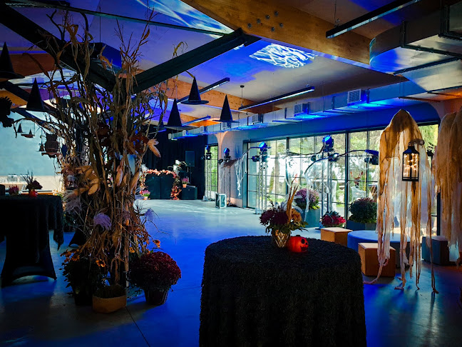 Opinii despre B'Fort în Mokotów - Organizator imprez