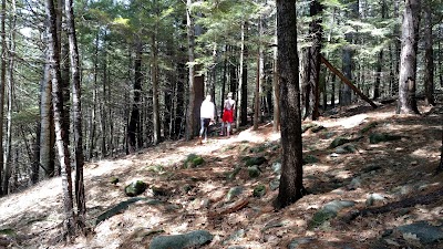 Photos of Mount Phillip trailhead