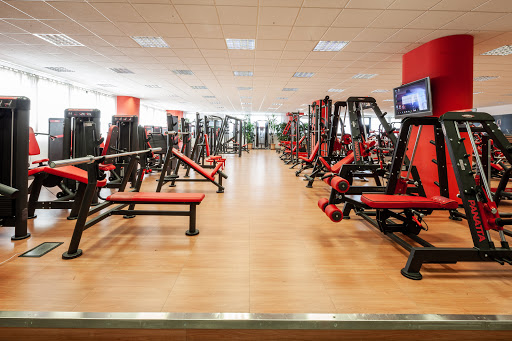 Panatta Srl - Visual
