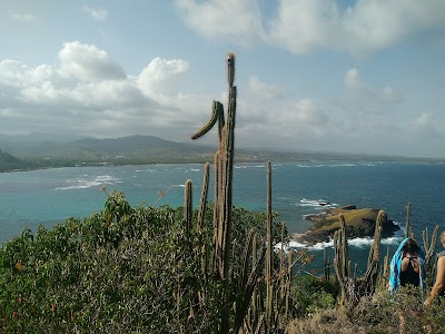 Photos of Maria Islands Nature Reserve