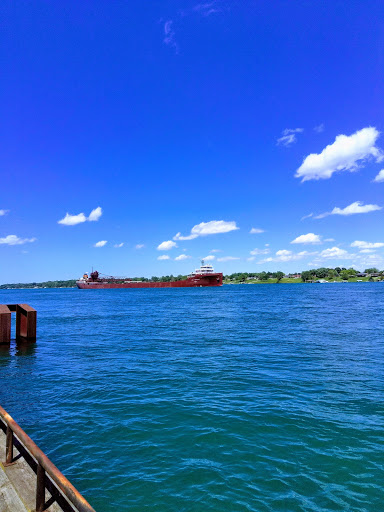 Public Access to St. Clair River Logo
