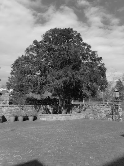 Rowayton Library