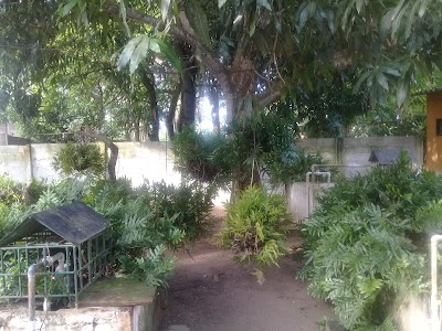 Photos of Eco Resort La Iguana