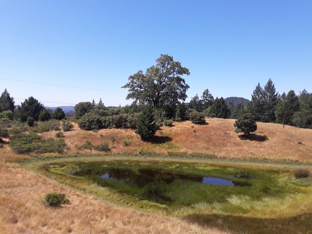 Armstrong Redwoods State Natural Reserve