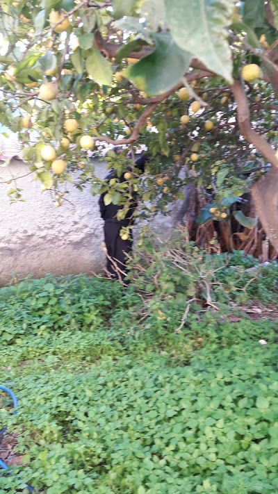 Photos of Xenonas Thalis