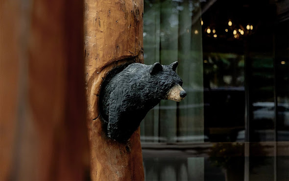 The Lodge at Jackson Hole by null