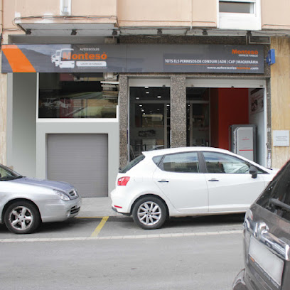 Montesó Amposta, Formación y Autoescuelas