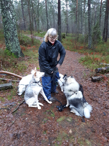 Alingsås Hundkapplöpning - Thumbnail