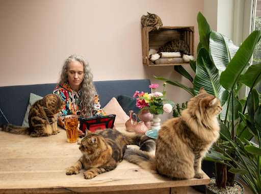 Cats Class - Visual