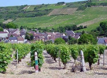 Photo de La Blanysoise à Laizé (71870)