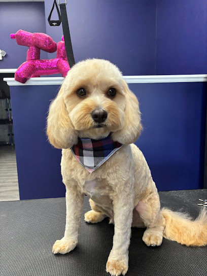 Animaland Grooming Salon #2