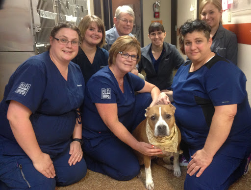 Cornelius Veterinary Clinic Gallery - United States