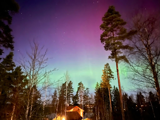 Ekobyn - Visual