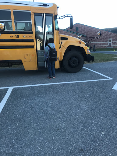 Lake Forest Central Elementary - Visual
