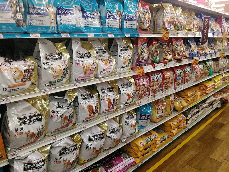 ＤＣＭ２１小松店