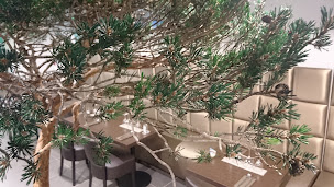 Photo n°76 de Restaurant Les dunes à Castres (Restaurant méditerranéen)