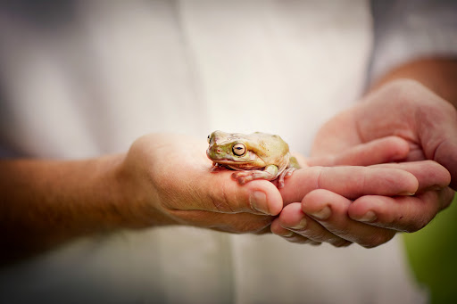 Pennfield Animal Hospital Gallery - United States
