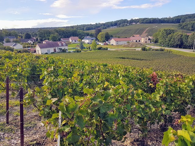 Champagne Louis Huot Fils