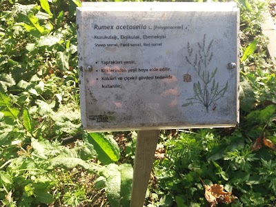 Zeytinburnu Medicinal Plant Garden