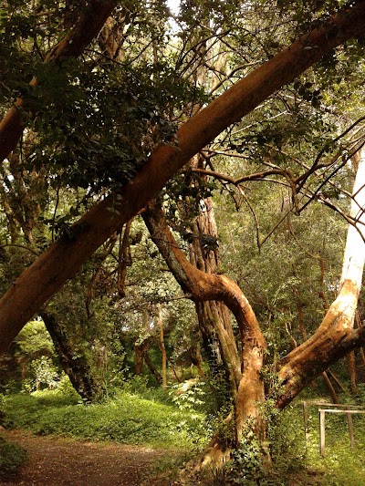 Photos of Guillermo Harnecker Park
