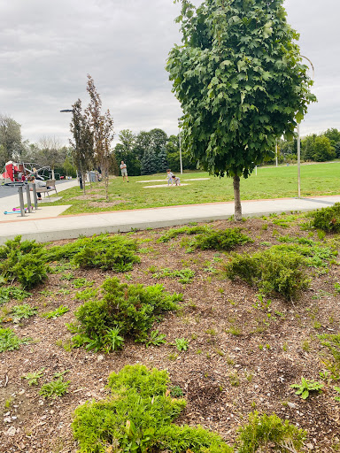 Morgan Boyle Park - Thumbnail