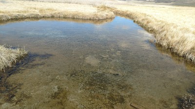 Fernley Wildlife Management Area